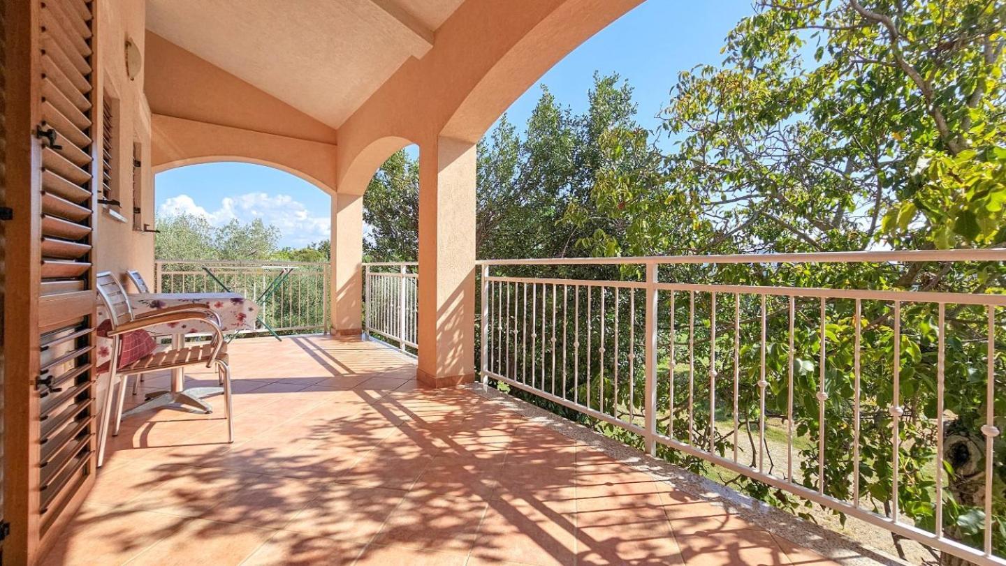 Viola Three Apartman Novigrad Istria Kültér fotó