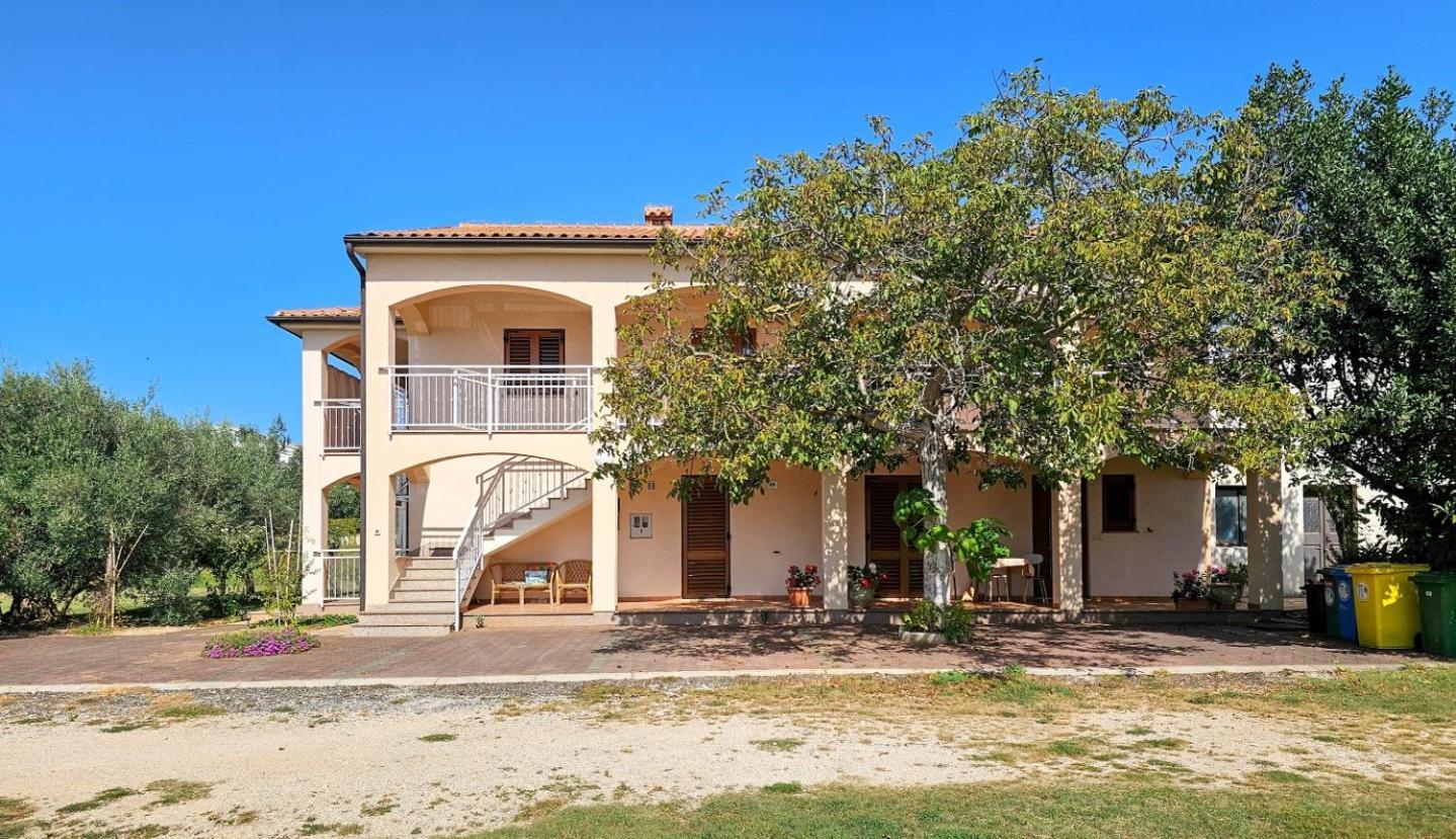 Viola Three Apartman Novigrad Istria Kültér fotó